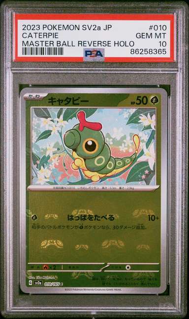 Caterpie