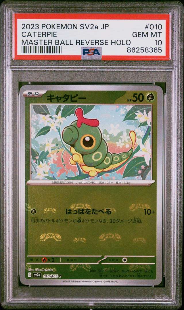 Caterpie
