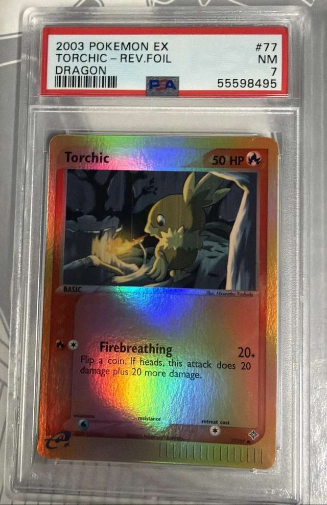 Torchic Dragon