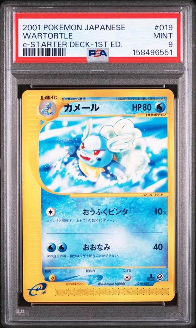 Wartortle