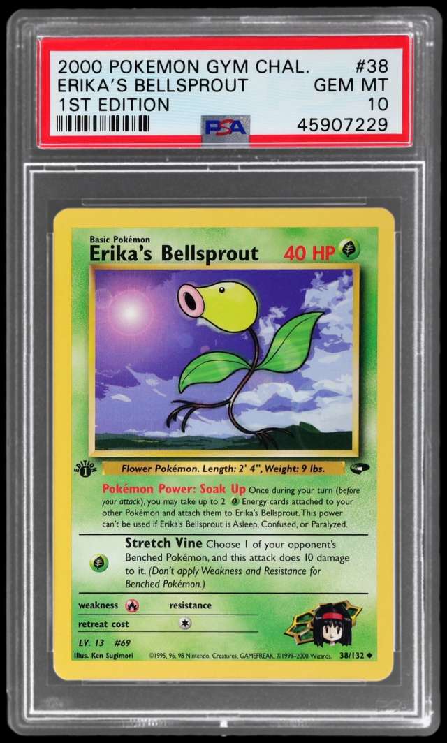 Erika's Bellsprout