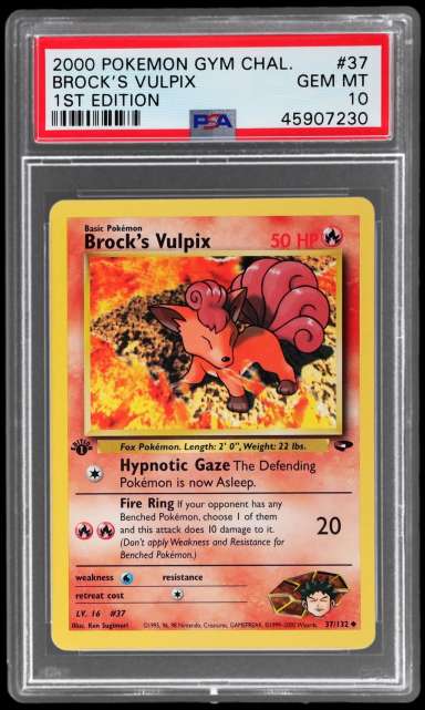 Brock's Vulpix