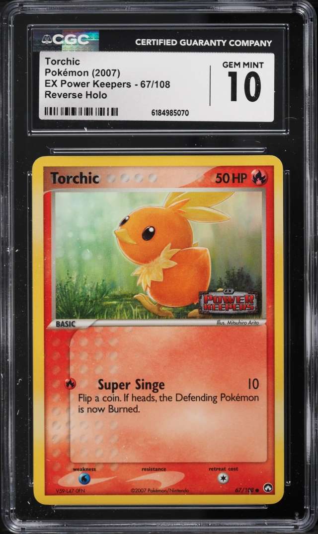 Torchic