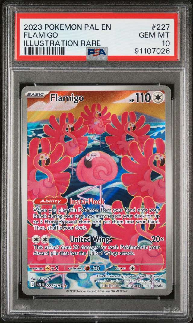 FLAMIGO