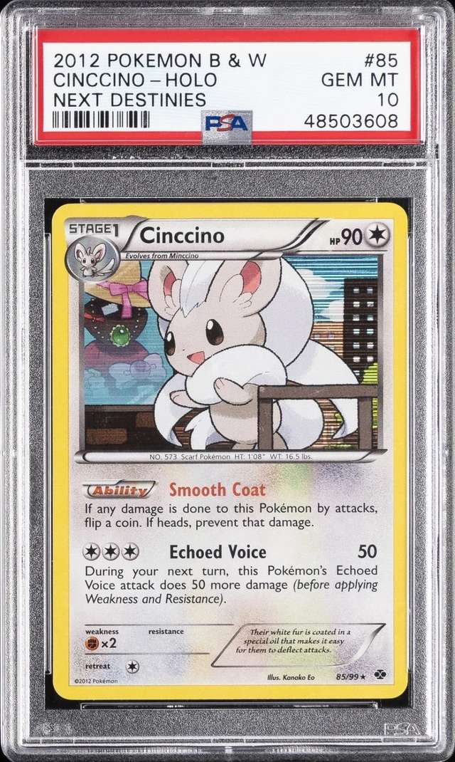 Cinccino