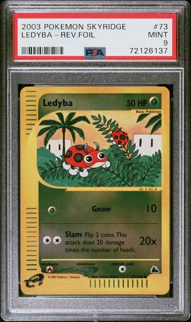Ledyba