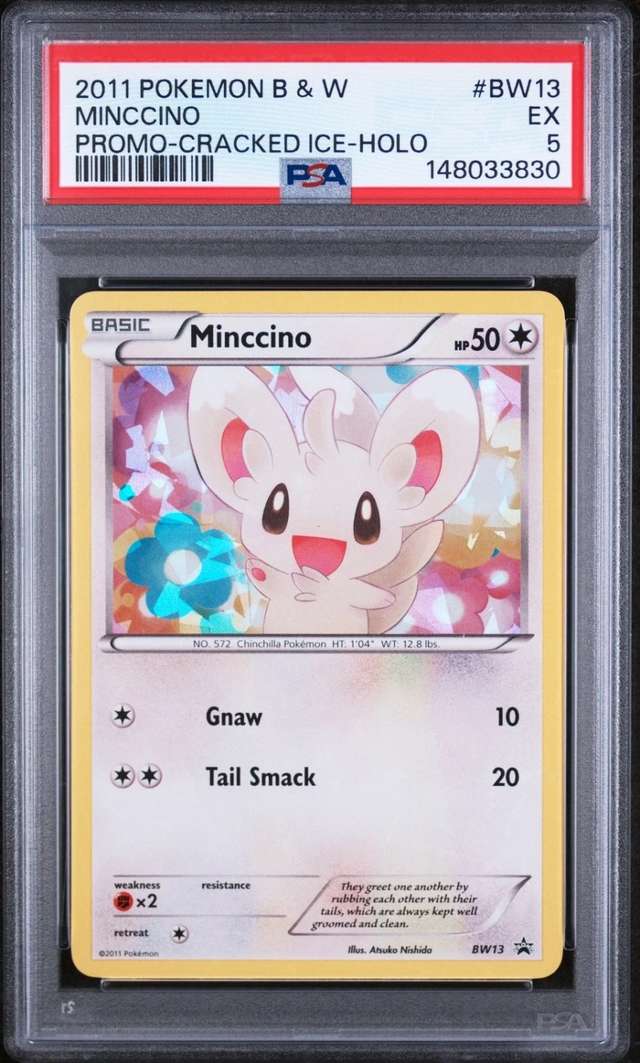 Minccino