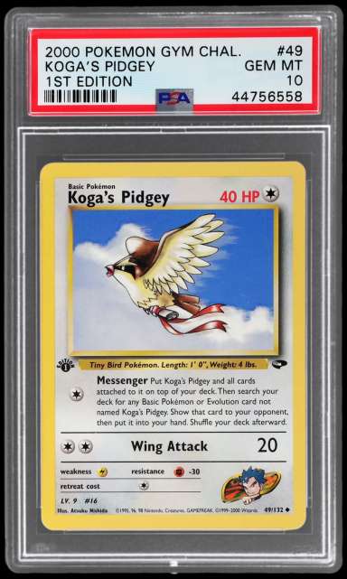 Koga's Pidgey