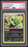 Tyranitar
