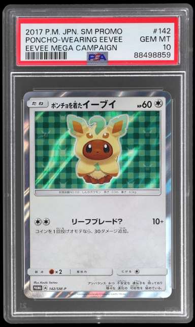 Poncho-Wearing Eevee