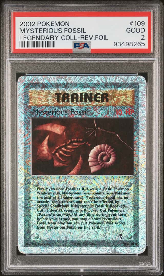 Mysterious Fossil