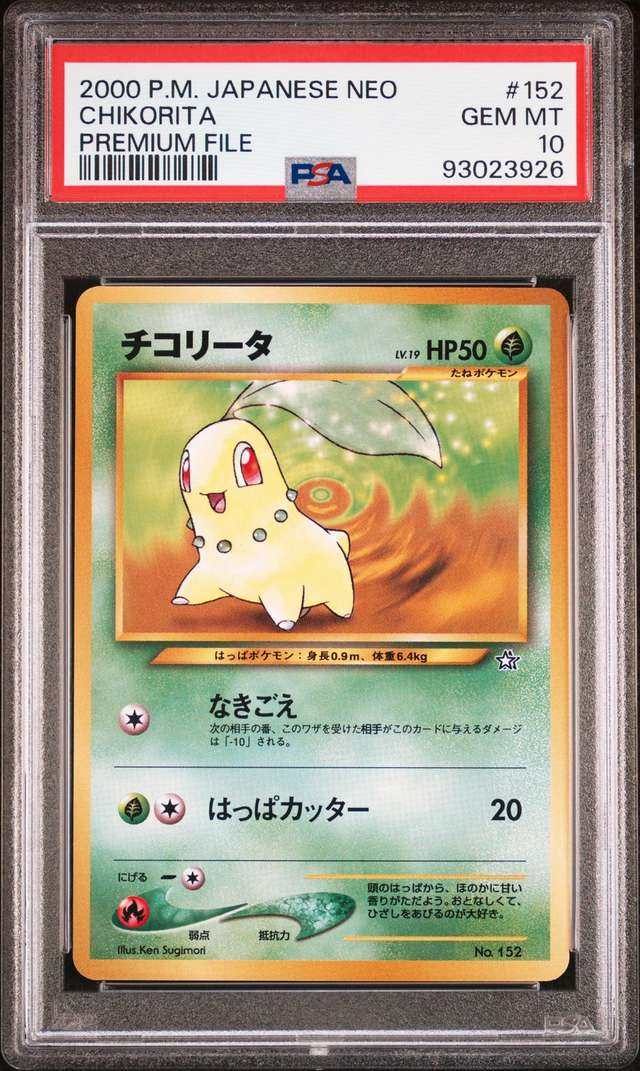Chikorita