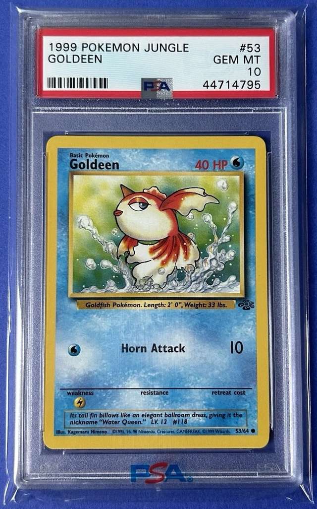GOLDEEN