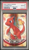 Charmeleon