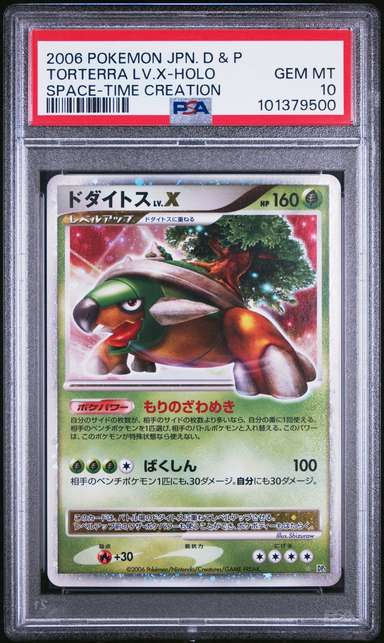 TORTERRA LV.X