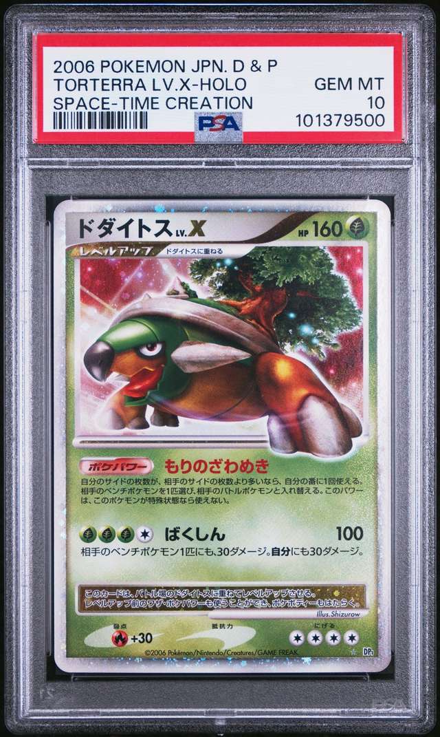 TORTERRA LV.X