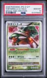 Torterra Lv X
