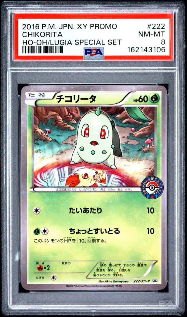Chikorita