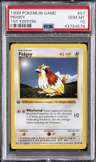 Pidgey