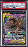Trevenant & Dusknoir Gx