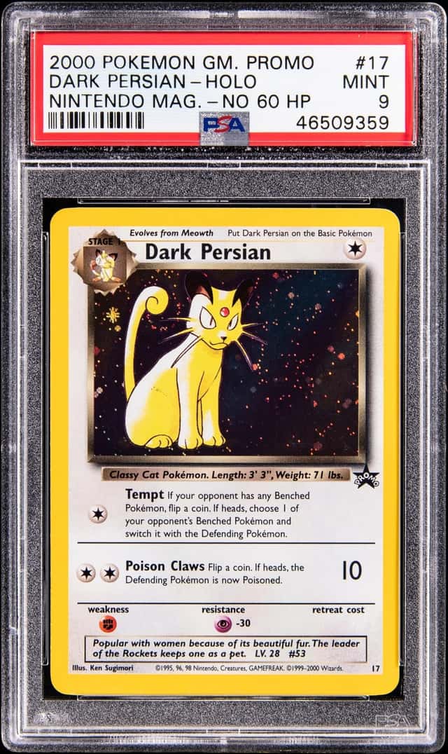 Dark Persian