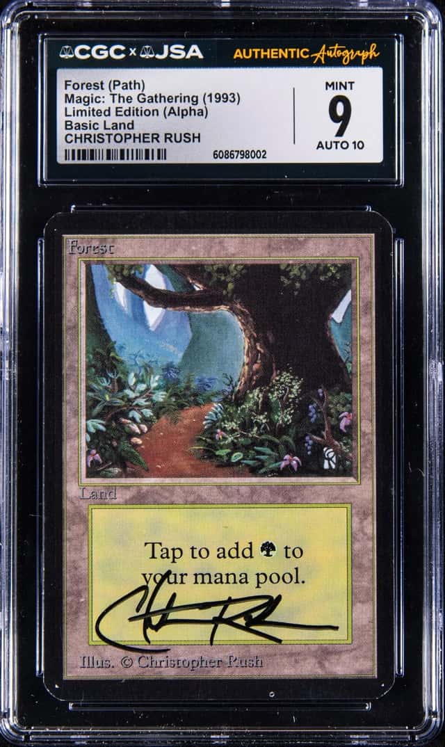 Forest (Path)
