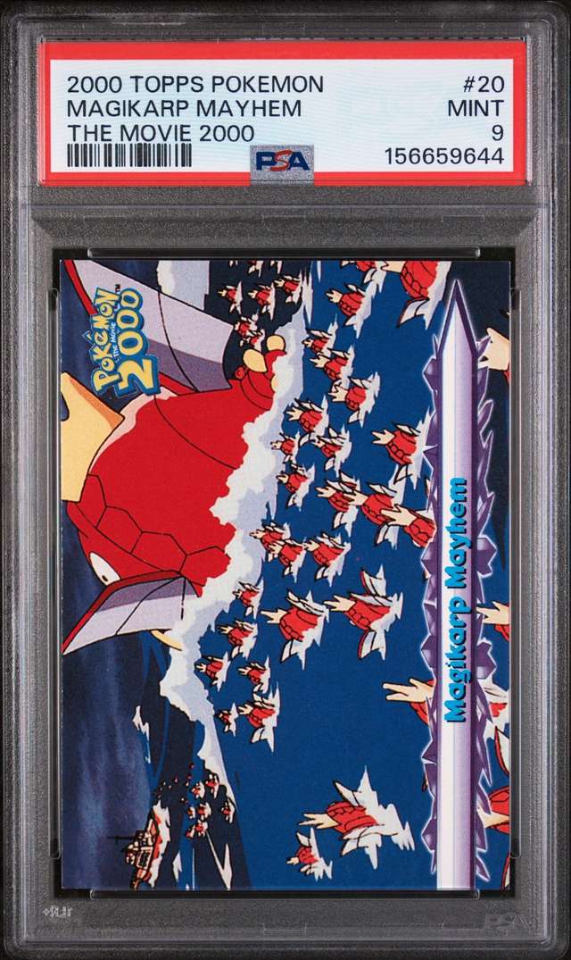 Magikarp Mayhem