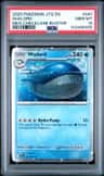 Wailord