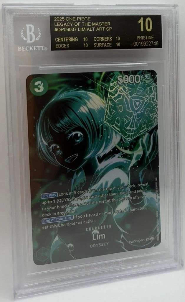 Lim ALT ART SP