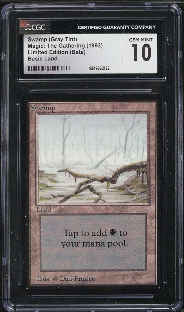 Swamp
