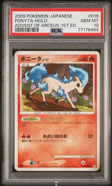 Ponyta