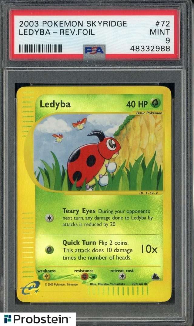 Ledyba