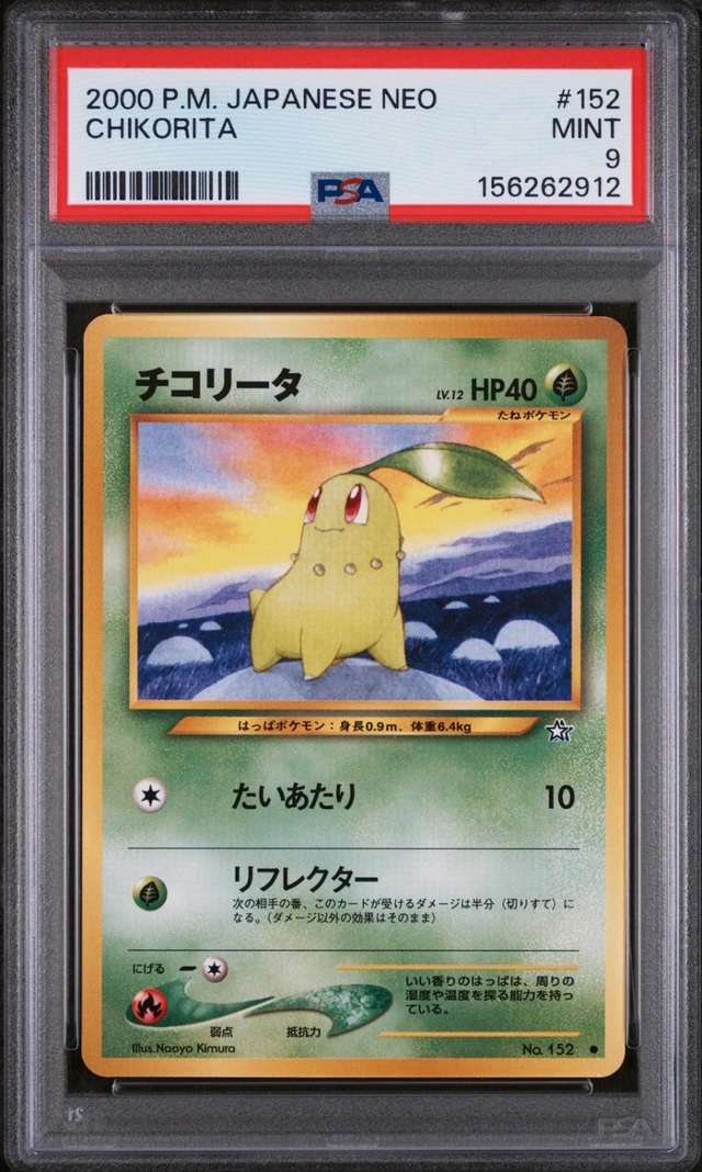 Chikorita