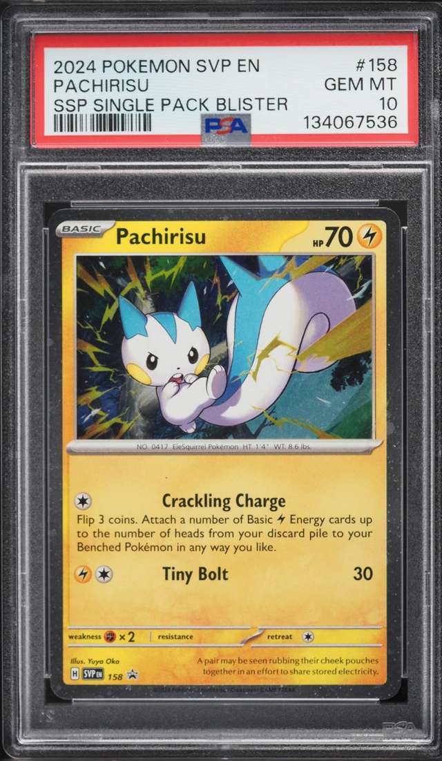 Pachirisu