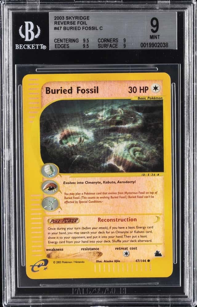 Buried Fossil