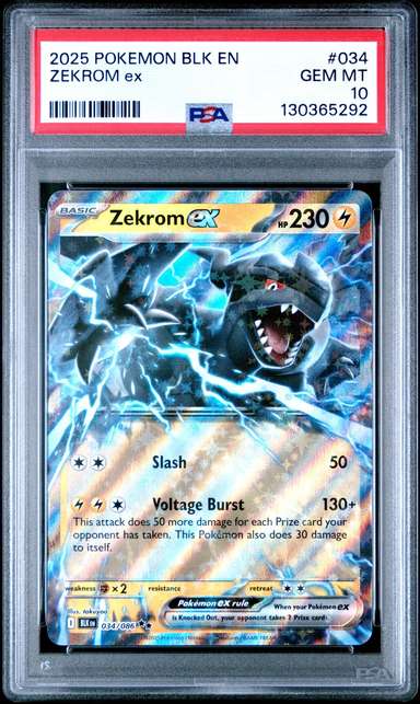 ZEKROM EX