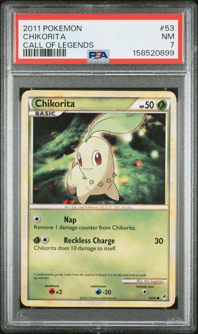 Chikorita