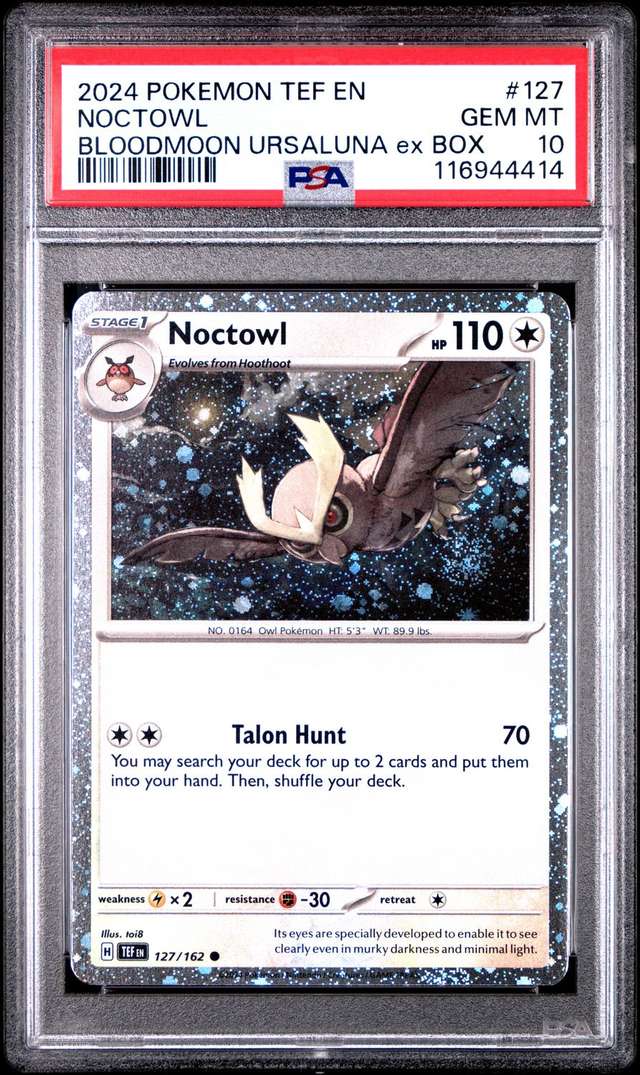 Noctowl