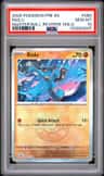 Riolu