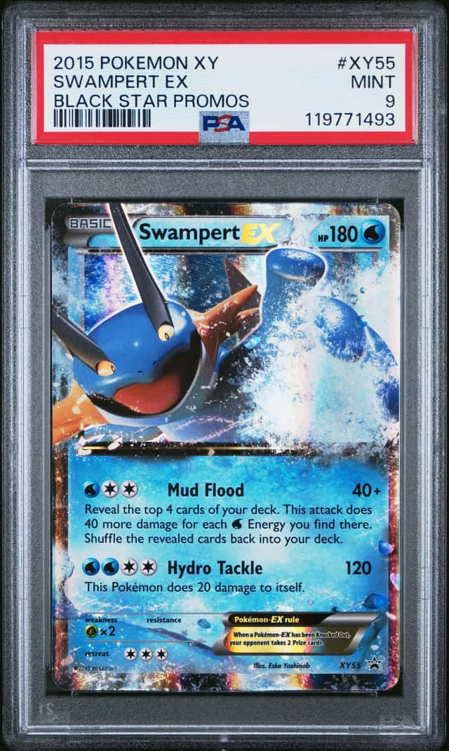 Swampert EX