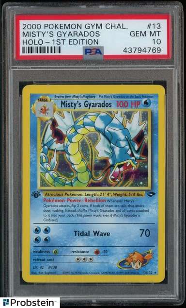 Misty's Gyarados