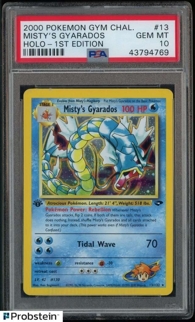 Misty's Gyarados