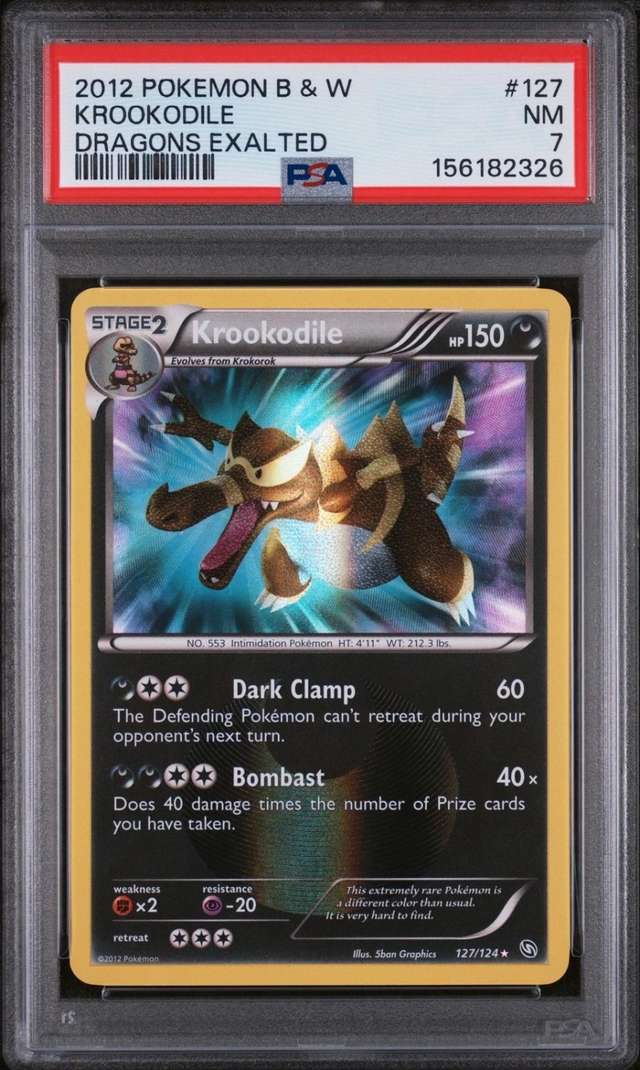 Krookodile