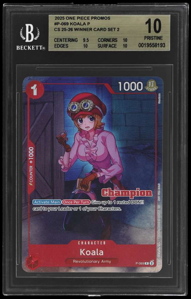 Koala P/(CS 25-26 Winner Card Set 2)