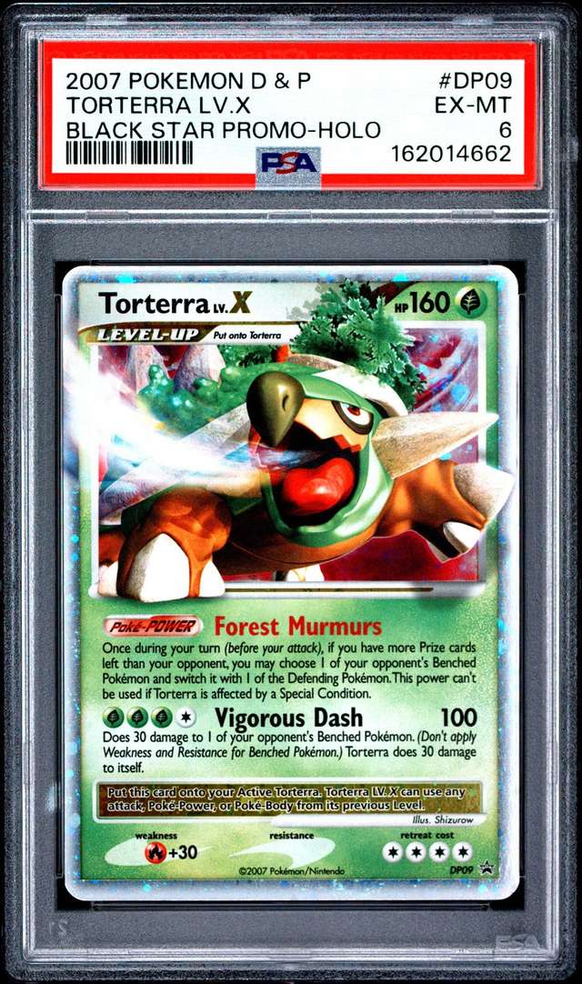 TORTERRA LV.X