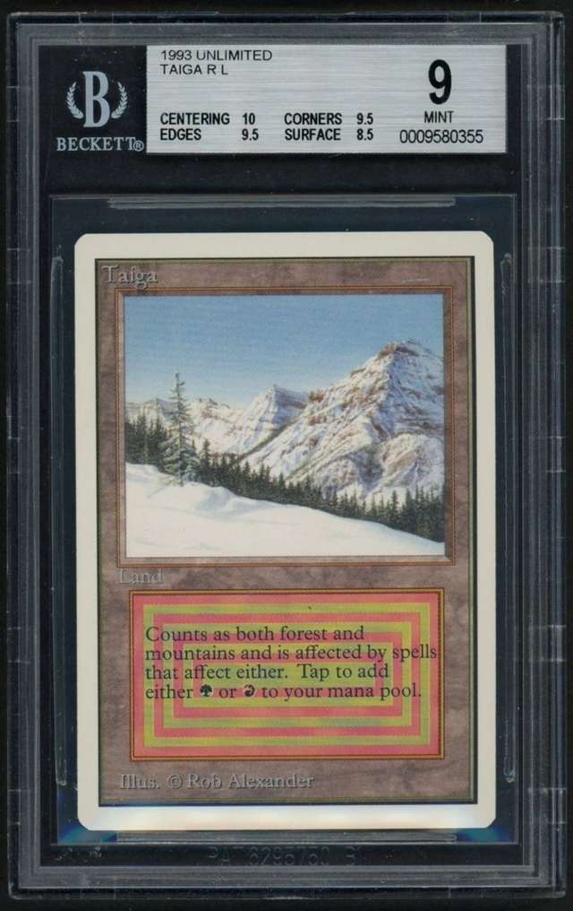 Taiga R :L: