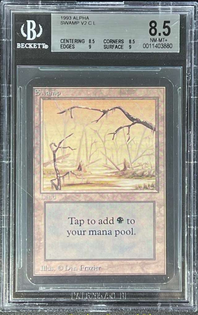 Swamp v2 L