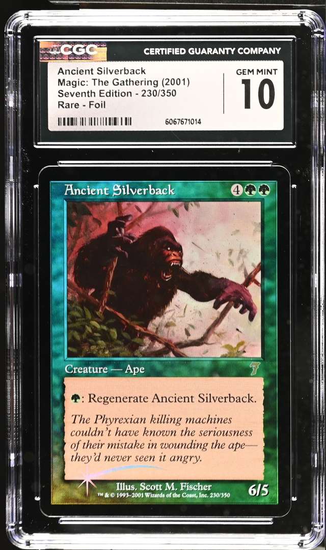 Ancient Silverback