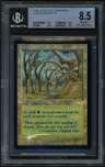 Gaea'S Cradle R
