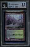 Llanowar Wastes R